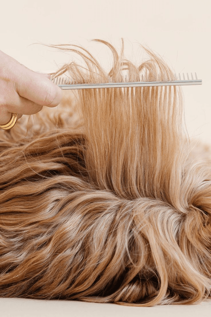 Визитки Yanki pets в форме косточки с названием, контактами и QR-кодом